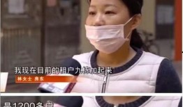 深圳女房东最新爆料,揭露租房市场的惊人内幕