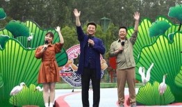 新城铁道爆料最新消息视频,揭秘视频背后的惊人真相