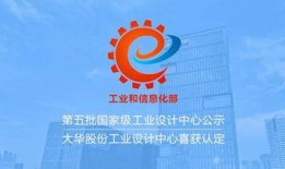 最新圈内爆料大华股份,圈内爆料揭示企业新动向
